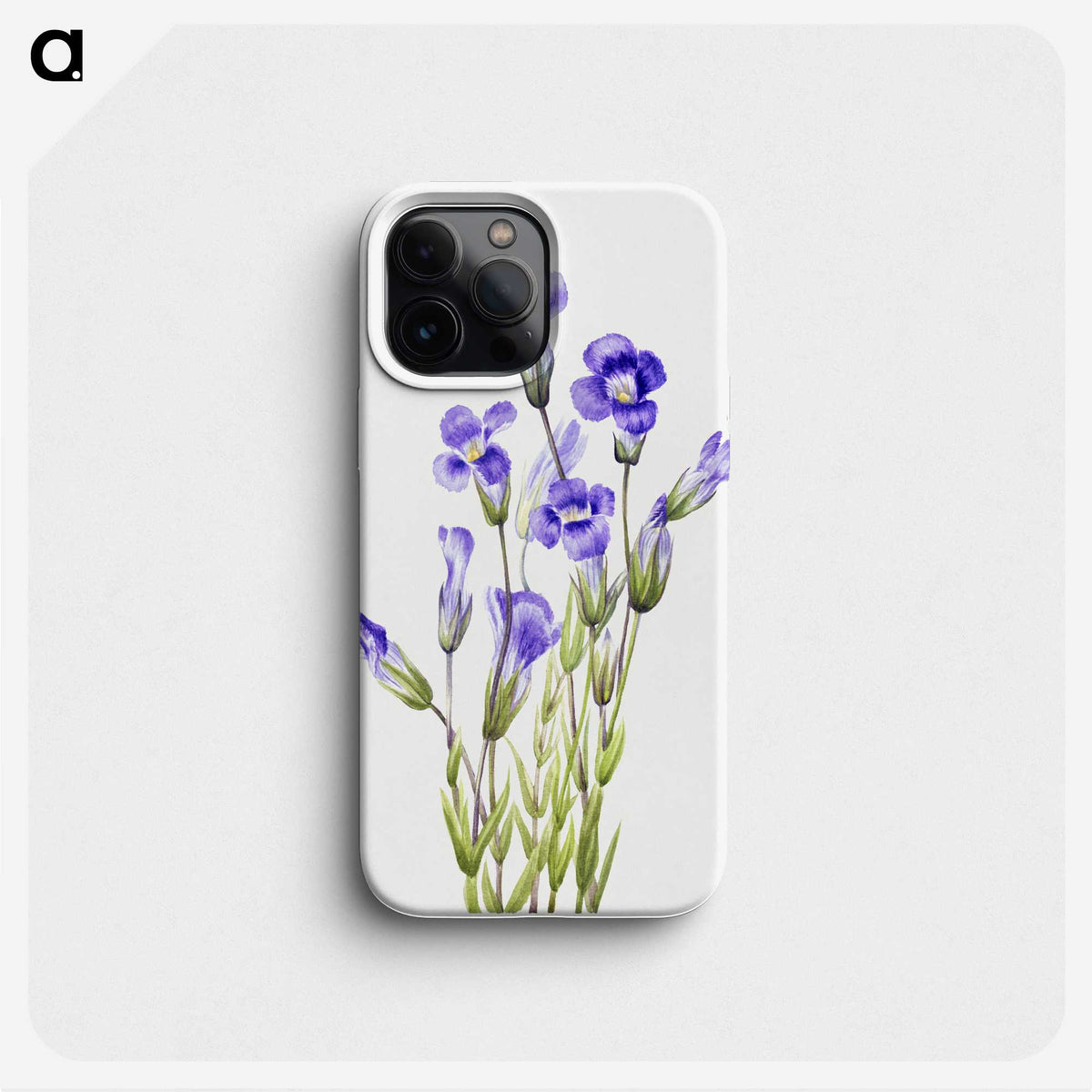 1-28_Mary-Vaux-Walcott_phone