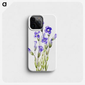 1-28_Mary-Vaux-Walcott_phone