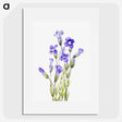 1-28_Mary-Vaux-Walcott_picture