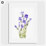1-28_Mary-Vaux-Walcott_picture