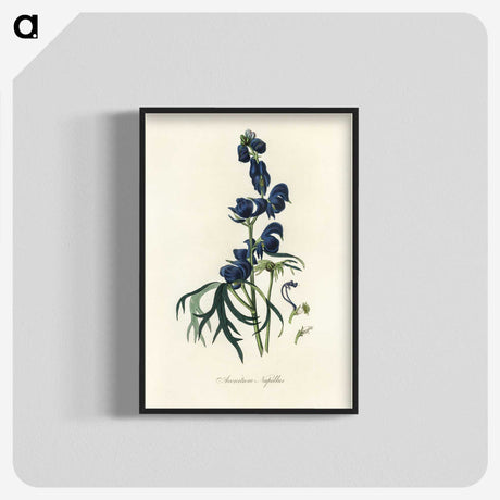 1-28_Medical-Botany_blk-crop