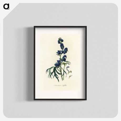 1-28_Medical-Botany_blk