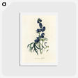 1-28_Medical-Botany_hagaki
