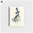 アートメモ帳-Monk's-Hood Illustration
 - 薬用植物学 Memo.