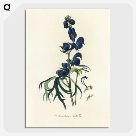 1-28_Medical-Botany_picture-crop