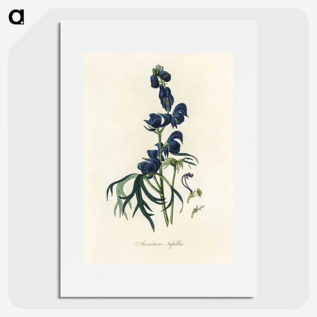 1-28_Medical-Botany_picture