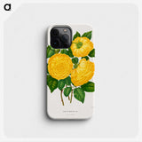 1-28_Nederlandsche-Flora-en-Pomona_phone