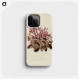1-28_New-and-Rare-Beautiful-Leaved-Plants_phone