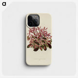 1-28_New-and-Rare-Beautiful-Leaved-Plants_phone