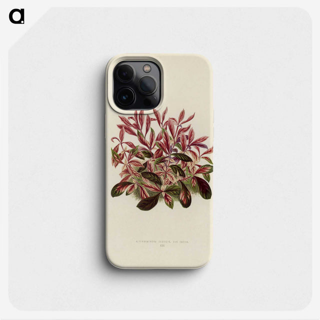 1-28_New-and-Rare-Beautiful-Leaved-Plants_phone