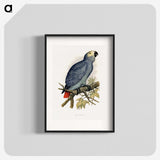 1-28_Parrots-in-Captivity_blk