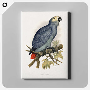 1-28_Parrots-in-Captivity_canvas