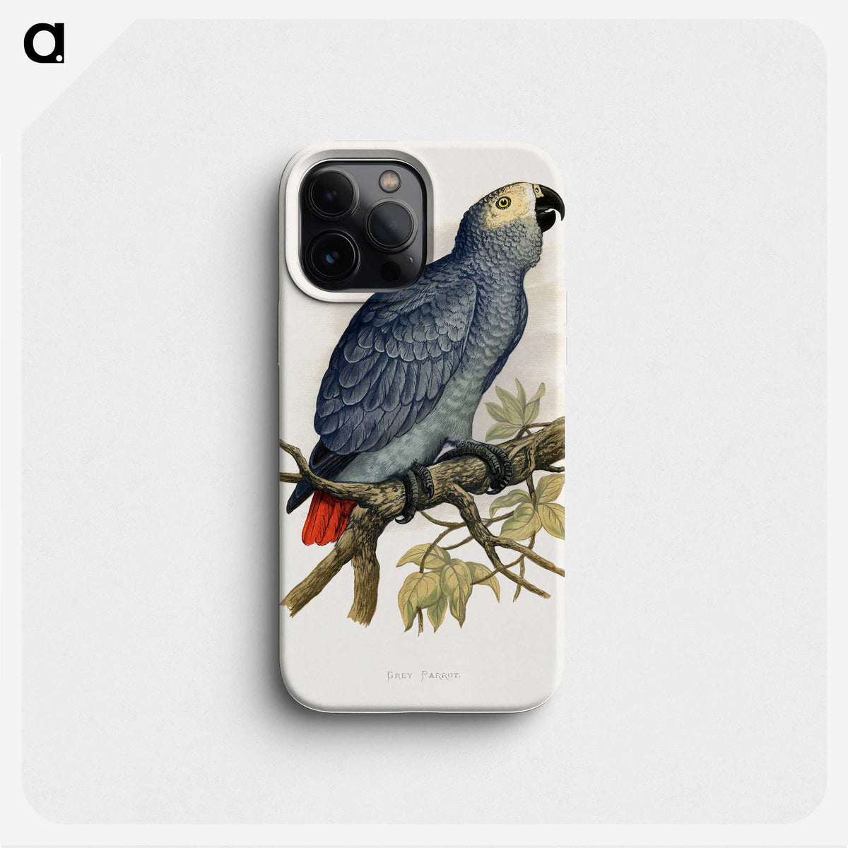 1-28_Parrots-in-Captivity_phone