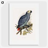 1-28_Parrots-in-Captivity_picture