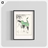 アートポスター-Demoiselle Crane and Reed
 - 鳥類図鑑 Poster.