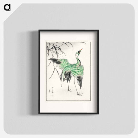 アートポスター-Demoiselle Crane and Reed
 - 鳥類図鑑 Poster.