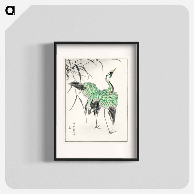 アートポスター-Demoiselle Crane and Reed
 - 鳥類図鑑 Poster.
