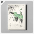アートパネル-Demoiselle Crane and Reed
 - 鳥類図鑑 Canvas.