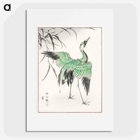 アートポスター-Demoiselle Crane and Reed
 - 鳥類図鑑 Poster.