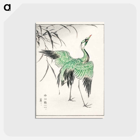 アートポストカード-Demoiselle Crane and Reed
 - 鳥類図鑑 Postcard.