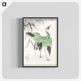 1-28_Pictorial-Monograph-of-Birds_blk-crop