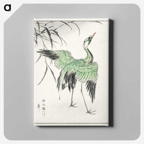 1-28_Pictorial-Monograph-of-Birds_canvas