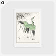 1-28_Pictorial-Monograph-of-Birds_hagaki
