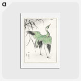 1-28_Pictorial-Monograph-of-Birds_hagaki
