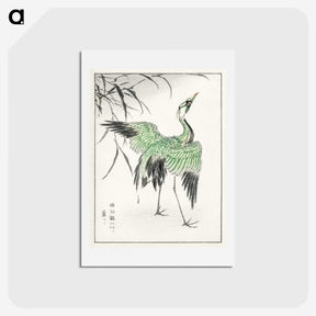 1-28_Pictorial-Monograph-of-Birds_hagaki