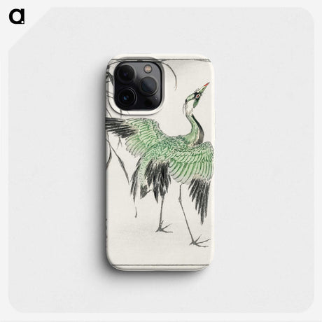 1-28_Pictorial-Monograph-of-Birds_phone