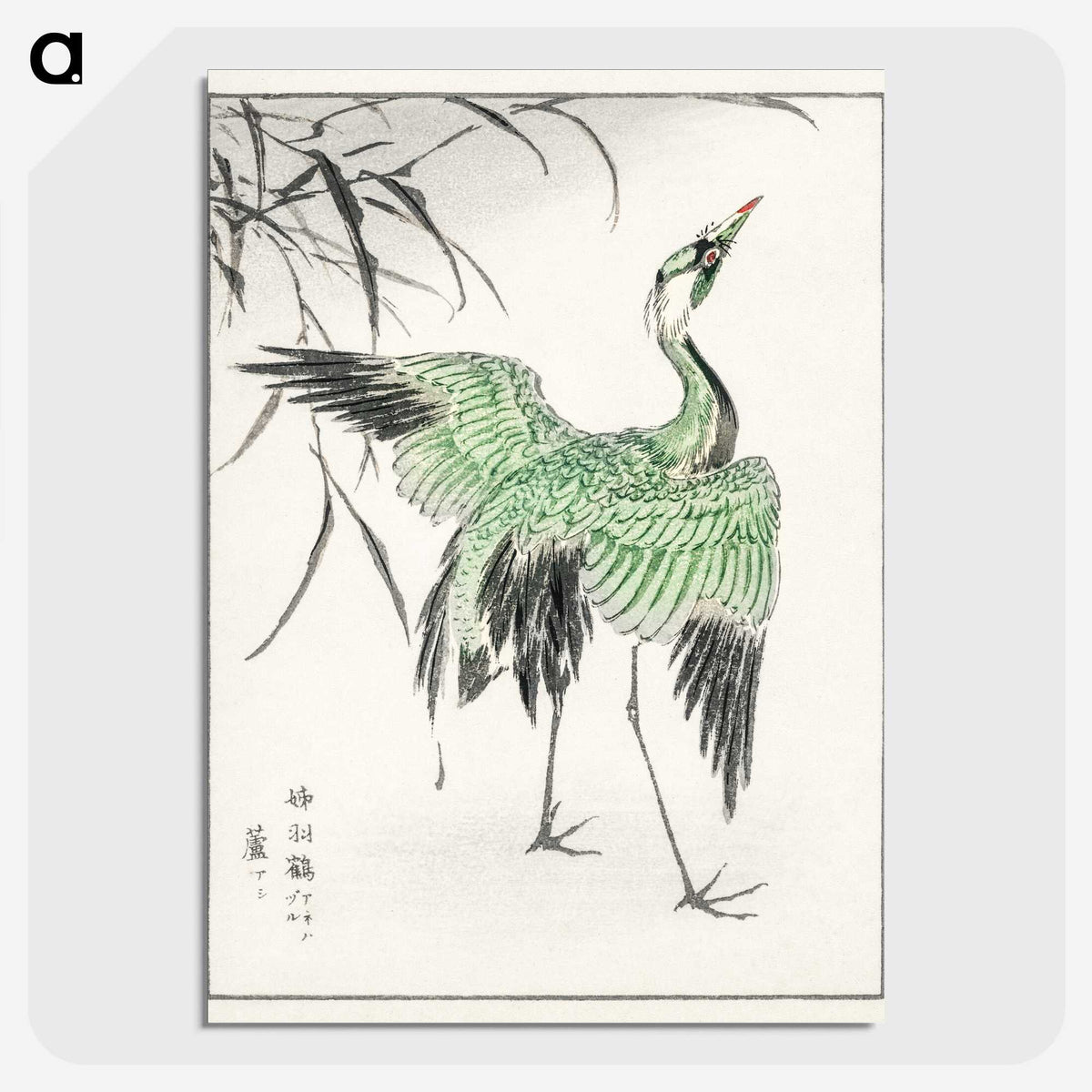 1-28_Pictorial-Monograph-of-Birds_picture-crop