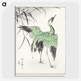 1-28_Pictorial-Monograph-of-Birds_picture-crop