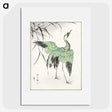 1-28_Pictorial-Monograph-of-Birds_picture