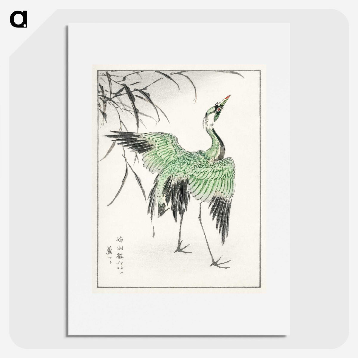 1-28_Pictorial-Monograph-of-Birds_picture