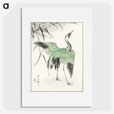 1-28_Pictorial-Monograph-of-Birds_picture