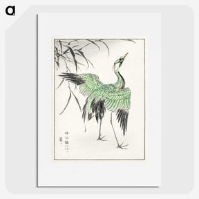 1-28_Pictorial-Monograph-of-Birds_picture