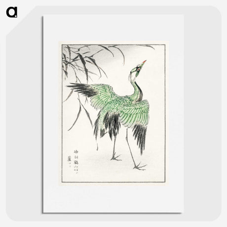 1-28_Pictorial-Monograph-of-Birds_picture