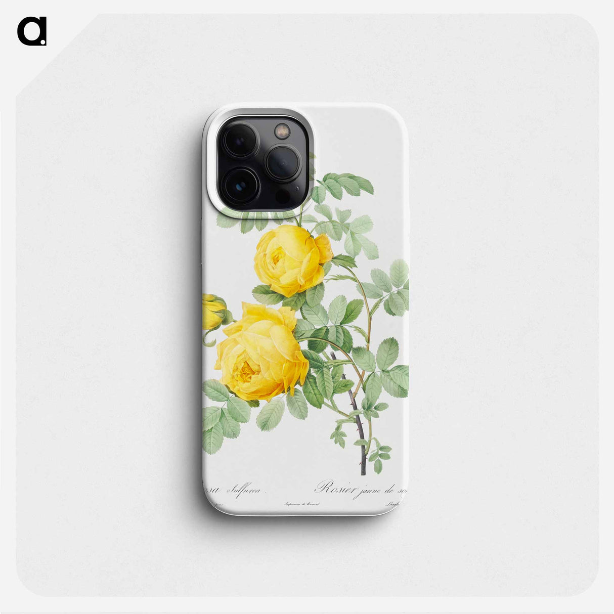 Rosa hemisphaerica - Pierre Joseph Redouté Phone Case.