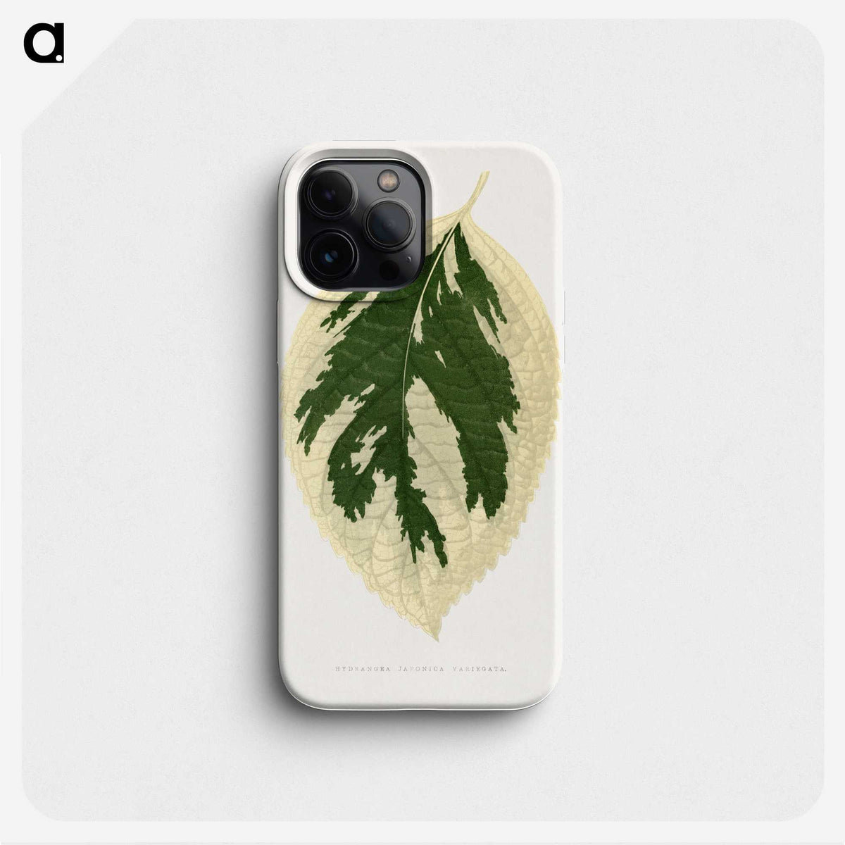 1-28_Plants-with-Colored-Foliage_phone