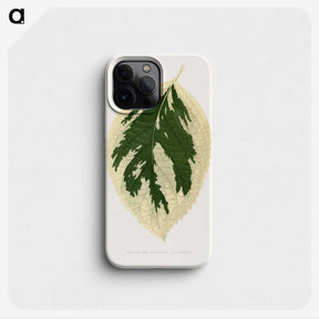 1-28_Plants-with-Colored-Foliage_phone