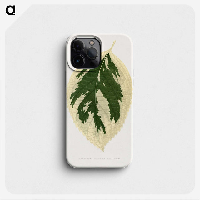 1-28_Plants-with-Colored-Foliage_phone