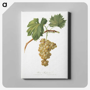 1-28_Pomona-Italiana_canvas