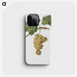 1-28_Pomona-Italiana_phone