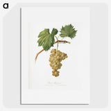 1-28_Pomona-Italiana_picture