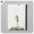 1-28_Robert-Jacob-Gordon_canvas