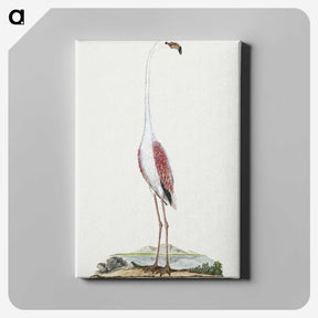 1-28_Robert-Jacob-Gordon_canvas