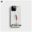 1-28_Robert-Jacob-Gordon_phone