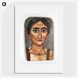 1-28_Saint-Louis-Art-Museum_picture