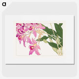 1-28_Seiyo-Soka-Zufu_picture