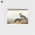 アートメモ帳-California Partridge
 - アメリカの鳥たち Memo.